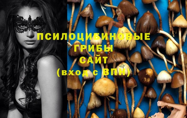 PSILOCYBIN Верхнеуральск
