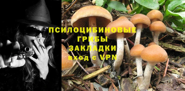 прущая мука Верхний Тагил