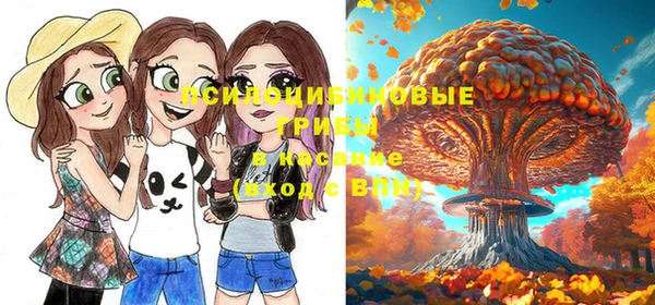 винт Верея